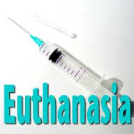 Number of Dutch killed by euthanasia rises by 13 per cent